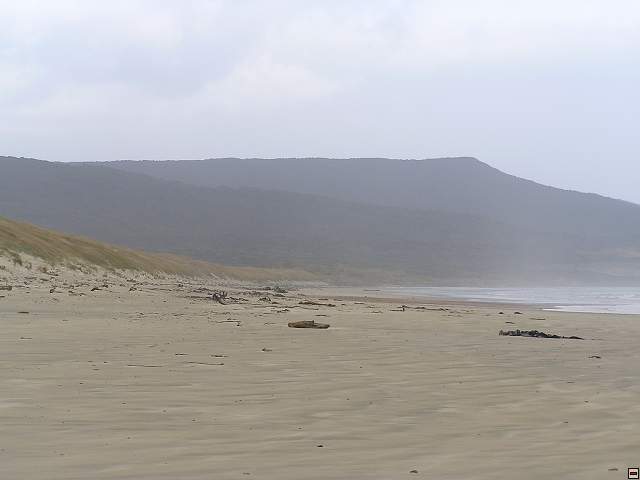 Steward Island 025.jpg